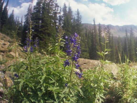 Baker Gulch Trail